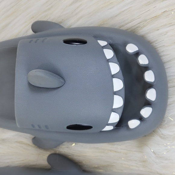 Shark Slides - Picture 7 of 7